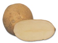 Click view for more details on this PEI Potato