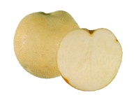 Click view for more details on this PEI Potato