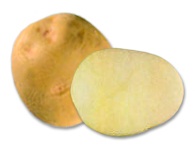 Click view for more details on this PEI Potato